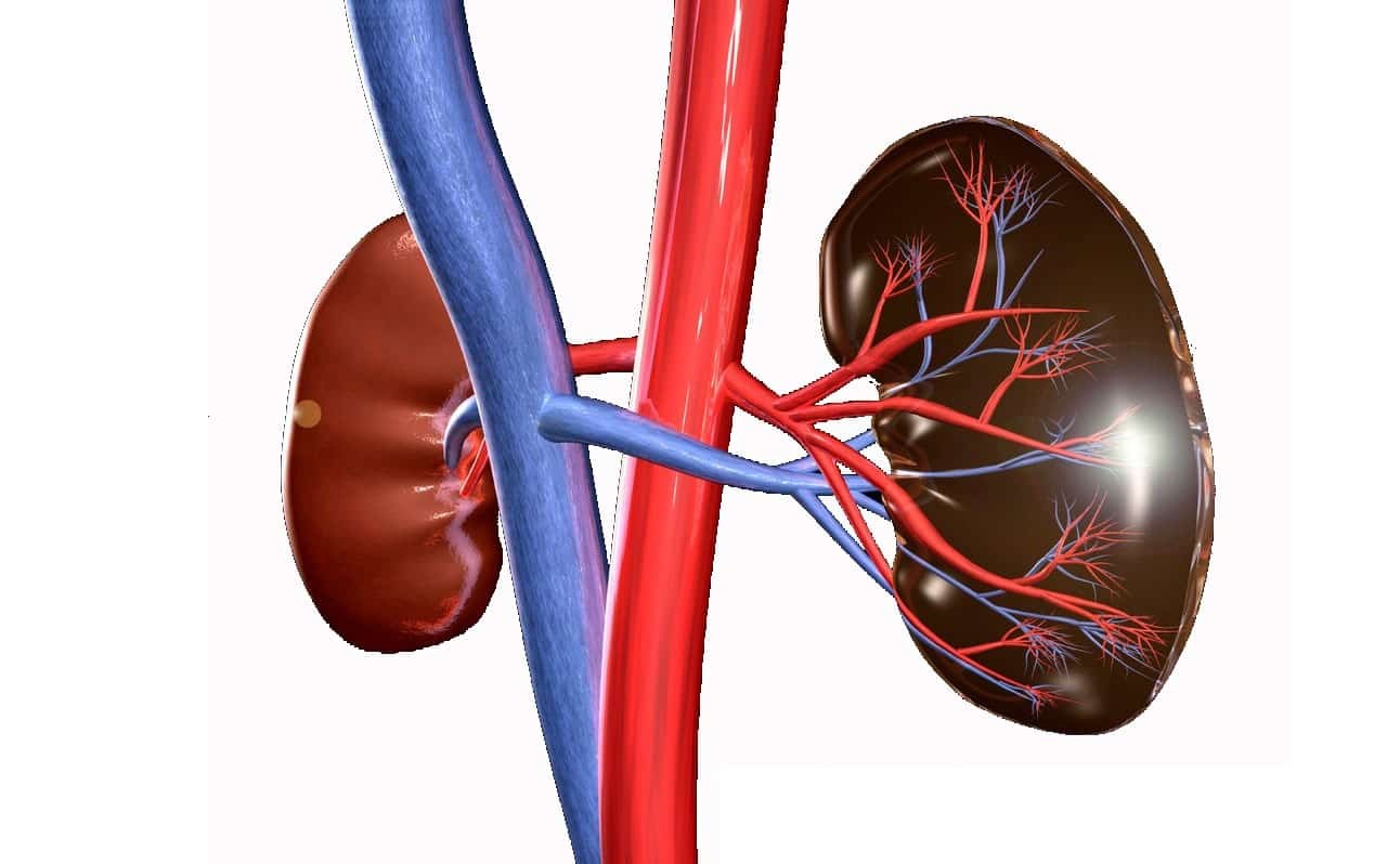 Xét nghiệm creatinin máu đánh giá chức năng thận